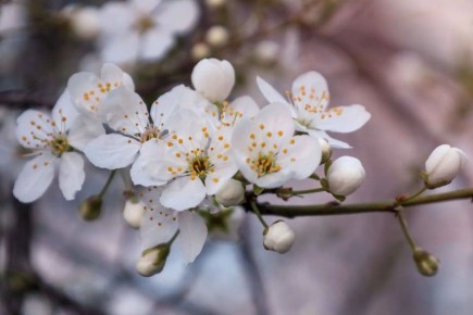 24 ������ � ��������� ������� ��������� ���������� ����������, ��� ������������ �������