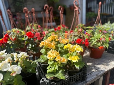 ������� �������� �����2026� ��������� � ������ 1 ���