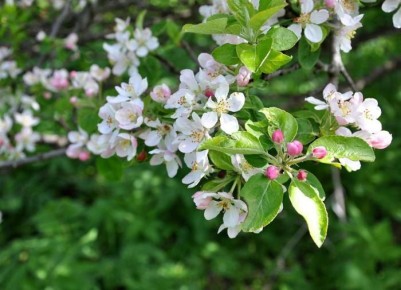 ������ ������� ������ ������ � ��� ��� ���������