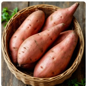 ������ ����� ����� �����������: 5 ������������ ������