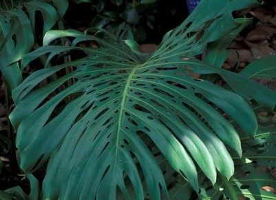 ���-5 ����� ��������� ��������� ��������: ��� ������� ��� ������ ���������?