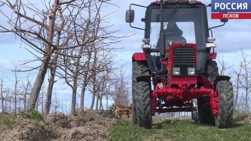 "�� ����, ��� ������ ������, ������� ������� ������": ������� ���������� ������ ��������� � ������ � ������� ������� � ��������