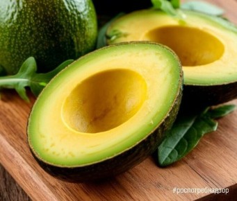 ������ �������: ��� ������� � ������������ ���� ���������� �����