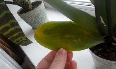 ������ � ������� ����� ������: ������ �� �������������� � �����