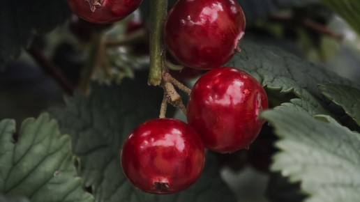 �������� ������������ �� ����� �� ���������� ����� ����� ������