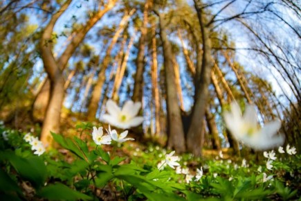 30 ������ � ��������� ������� ��������� �������� ������, ������� ��������� �����