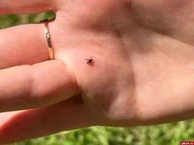 53 �������� � ��������� ������� ���������� �� ������ ������ �� �������� ������