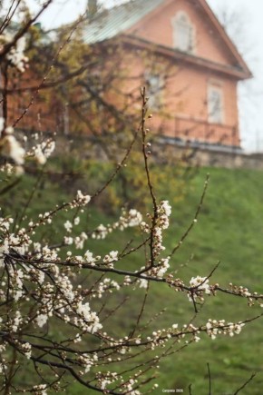 1 ��� � ��������� ������� ��������� �������� � ������������ ������, ��� ������������ �������