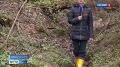 Героя Великой Отечественной вернули из небытия себежские поисковики: как удалось установить имя и нашлись ли родственники?