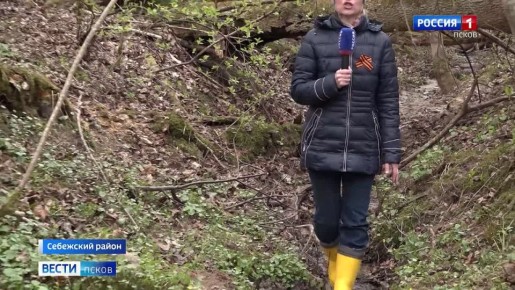 Героя Великой Отечественной вернули из небытия себежские поисковики: как удалось установить имя и нашлись ли родственники?