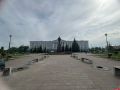 На площади Ленина в Пскове выкопали засохшие клены