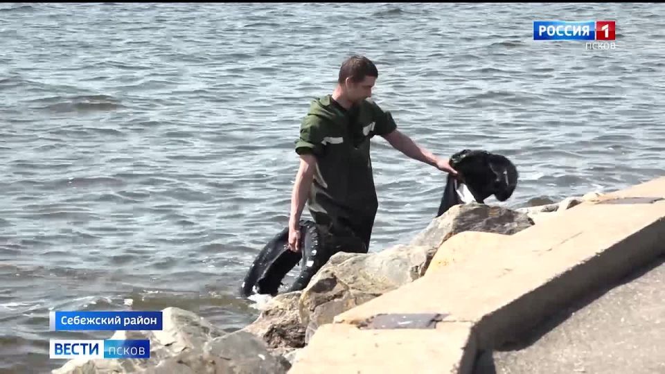 В Себеже местные жители помогают водолазам бороться с сухим тростником на берегу озер