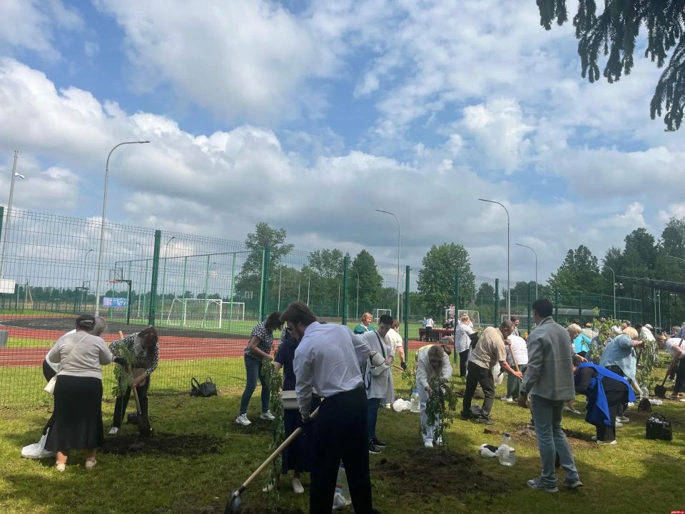 День территориального общественного самоуправления отметили в Новоржеве День территориального общественного самоуправления отметили в Новоржеве