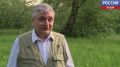 "Покрасили губки и подвели глазки": реставратор из Петербурга рассказал о том, как студенты в 1964 году "спасали" ангела в печорском храме