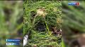 �������� �������� �� ������� ����: ���� ������� ������� � � ������ ������ ����� ����� ����