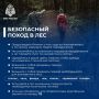 Рекомендации любителям тихой охоты