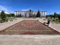 Как вам новая клумба на площади Ленина? Голосуйте в опросе у нас ВКонтакте