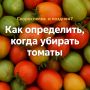 ��� ��������� ���������� ����� ����� �������: ������� ������