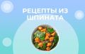 ������: �������� ������� ��� �������� � �����
