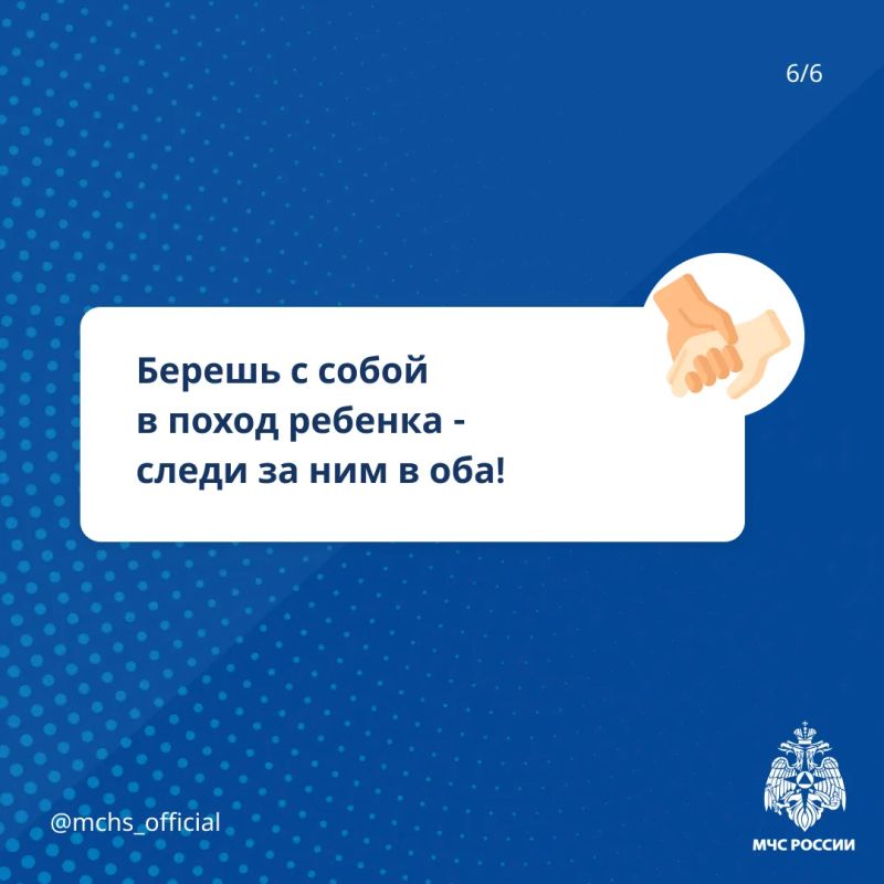 Собираем грибы и ягоды без риска Собираем грибы и ягоды без риска