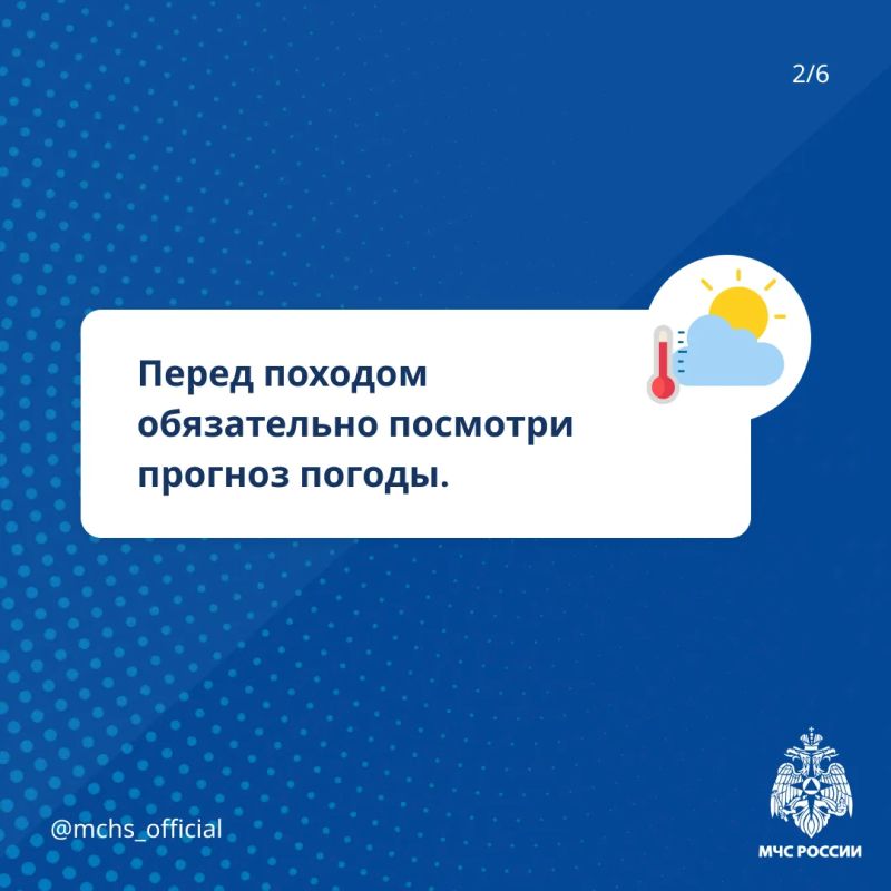 Собираем грибы и ягоды без риска Собираем грибы и ягоды без риска