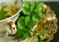 8 растений, которые отпугнут комаров естественным образом