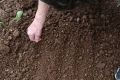 Как справиться с жесткой водой и засолением почвы: эффективные советы для садоводов
