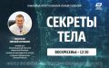 Боль в плече и мифы о здоровье — в новом выпуске «Секретов тела»