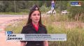 Более 50 пострадавших с начала года: в Псковской области усилили рейды против пьяных водителей
