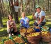 В тур по грибы. Хорошо ранним утром отправиться в лес с плетеной корзинкой, набрать там ягод-грибов, насладиться тишиной вдали от шума города, а после такого похода еще и приготовить что-нибудь вкусное из даров леса
