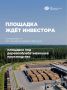 Ваулино: тут можно построить прибыльное деревообрабатывающее производство!