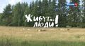 Живут же люди! Деревня Козье Загорье