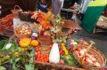 Масштабный закуп на зиму: в Псковской области стартует сезон осенних сельскохозяйственных ярмарок