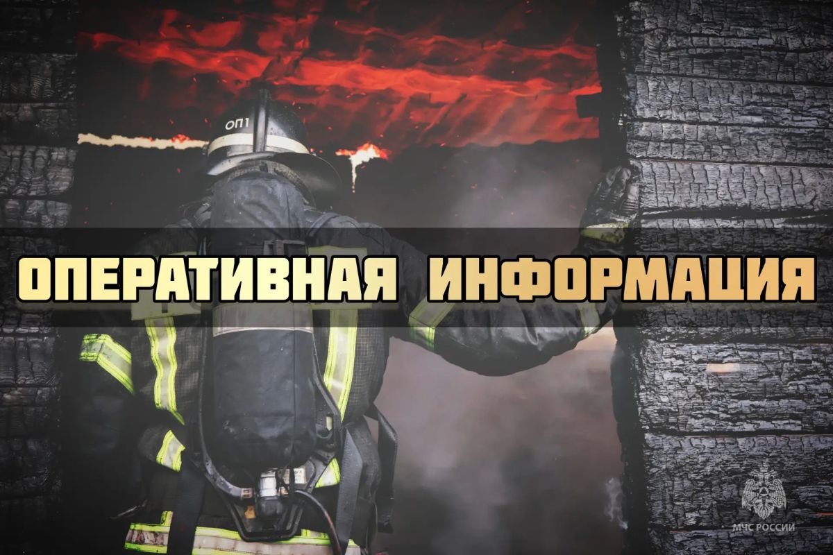 #ОперативноЗаСутки. За минувшие дежурные сутки пожарно-спасательные подразделения Псковской области реагировали на возгорание в бесхозном строении в деревне Авдоши Пушкиногорского МО. В помещении от огня пострадала стена на...