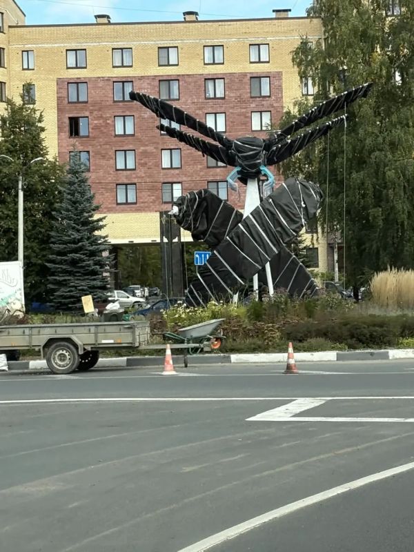 Фотофакт: огромная стрекоза «приземлилась» на площади Героев-десантников в Пскове Фотофакт: огромная стрекоза «приземлилась» на площади Героев-десантников в Пскове