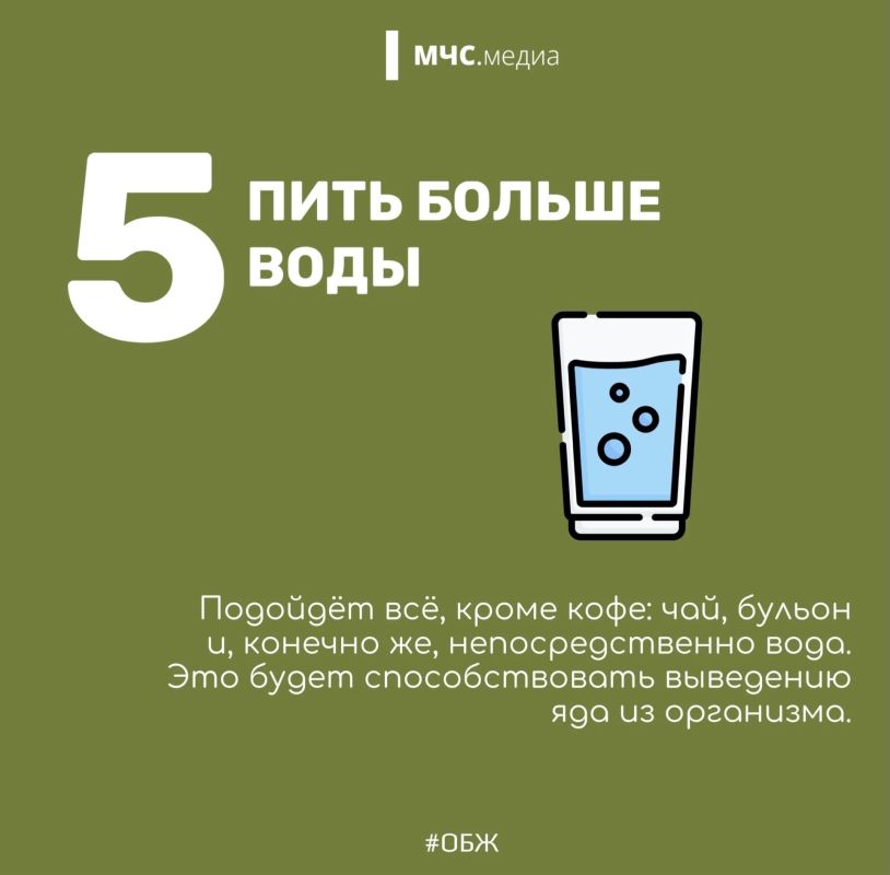 Змеиный этикет: как вести себя при встрече с пресмыкающимся Змеиный этикет: как вести себя при встрече с пресмыкающимся