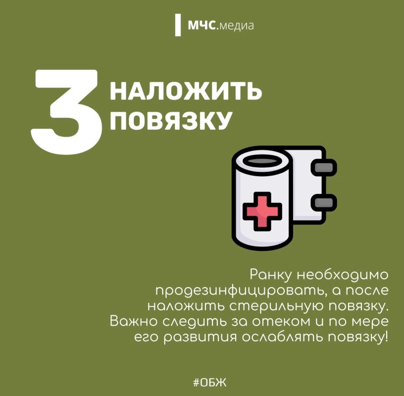 Змеиный этикет: как вести себя при встрече с пресмыкающимся Змеиный этикет: как вести себя при встрече с пресмыкающимся