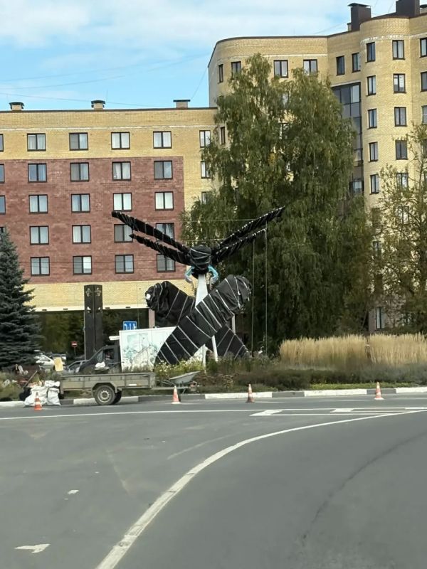Фотофакт: огромная стрекоза «приземлилась» на площади Героев-десантников в Пскове Фотофакт: огромная стрекоза «приземлилась» на площади Героев-десантников в Пскове