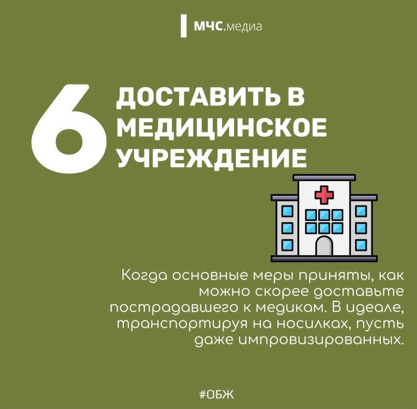 Змеиный этикет: как вести себя при встрече с пресмыкающимся Змеиный этикет: как вести себя при встрече с пресмыкающимся