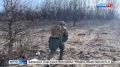 � ������ ������� ������ ������ "���� �������": ������� �������� ���� ������ ���