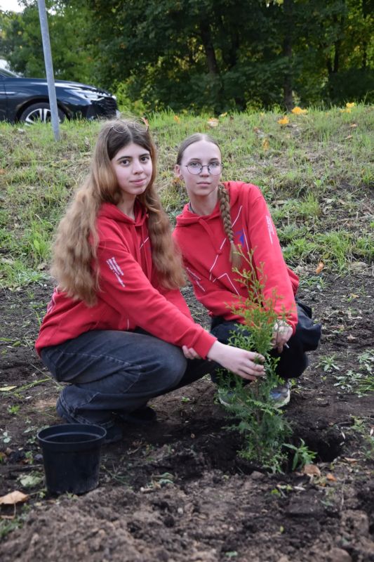 30 молодых деревьев высадили в рамках эколого-патриотической акции на Аллеи Памяти в Опочке 30 молодых деревьев высадили в рамках эколого-патриотической акции на Аллеи Памяти в Опочке