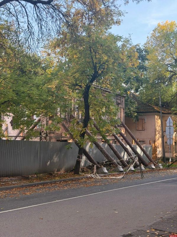 Усадьбу купца Андреева в Пскове укрепили балками ради безопасности археологов Усадьбу купца Андреева в Пскове укрепили балками ради безопасности археологов