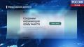 В Псковской области запустили единый ресурс для сообщений о незаконной вырубке леса
