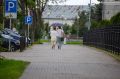 ����� ������� � ��������� ������� 20 ��������