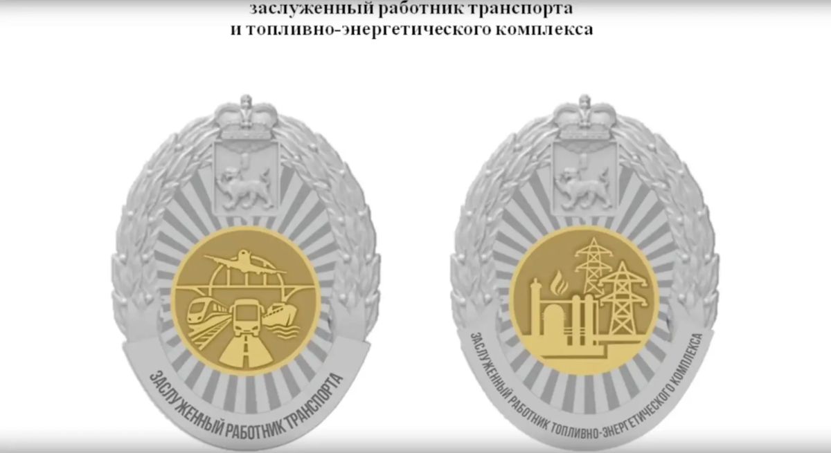 Эскизы двух новых наград утвердили в Псковской области