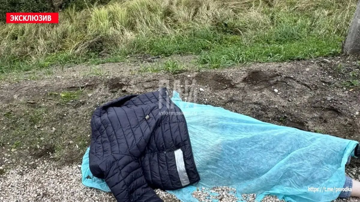 Водитель погиб во время лобового столкновения в Острове Водитель погиб во время лобового столкновения в Острове