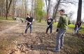 Осенний месячник по благоустройству стартует в Пскове с 1 октября