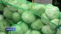 Годовая инфляция в Псковской области в августе оказалась ниже общероссийского показателя