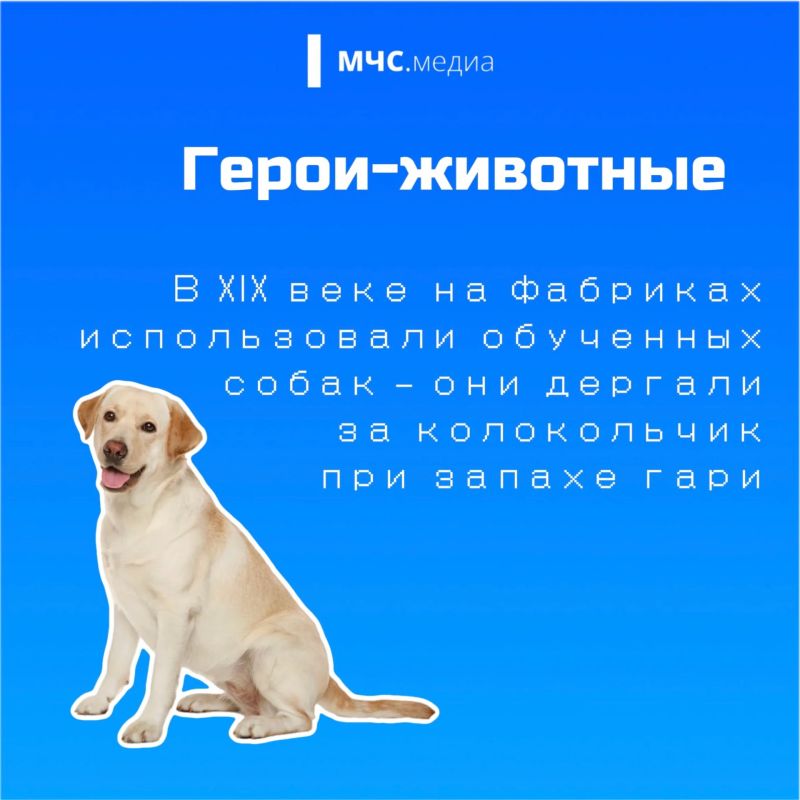 С днём рождения, извещатель! С днём рождения, извещатель!