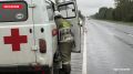Две собаки погибли в ДТП с молоковозом в Плюсском районе